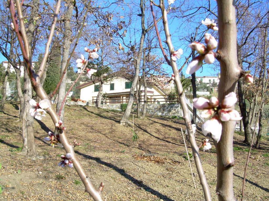 莫内利亚Ariabuona公寓 外观 照片